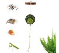 Generico pour l'habitat de Jumping Spider : cachette pour mousse, pont de corde d'escalade, mini hygromètre numérique | Décorations pour terrariums pour reptiles, grenouilles, crabes,