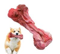 Genérico pour mâcher pour Chiens | Jouet en Caoutchouc en Forme d'os, Jouet Brosse pour Chiens, pour entraînement, Jeu à la Maison, Mastication, Relaxation intérieure et extérieure
