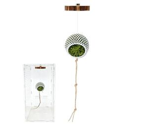 Generico Pour terrariums, aide pour l'escalade, reptiles, habitat, structure, décoration, stable, durable, cachette naturelle, élément de jeu, convient pour serpent, tortue, grenouille, crabe