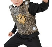 Generico PP Roman Gladiator Costume Set For Kids | Bronze Silver Breastplate Shoulder Arm Guards | Unisexe Historical Role-Play Dress Up Kit | Boys Girls Party Fancy Outfit Accessory