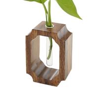 Generico Propagation De L'usine De - Pots De Tube Pour Fleurs | Pot Floor Et Se Tenir Dans Le Terrarium Cablep Hecchio | Porte Tube D'essai Transparent Pour La Décoration De Sc