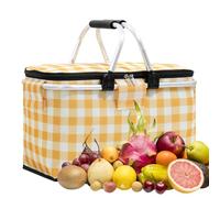 Genérico Refroidisseur de plage portable - pique-nique isolé, panier de camping étanche | Module thermique pliable du panier de pique-nique, unité du paquet