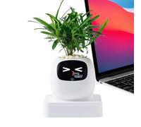 Genérico Robot de plantes | Jardinière avec guide IA pour l'entretien des plantes | Pot pour plantes succulentes | Pour intérieur, maison, bureau, salon, chambre, balcon, patio, anniversaire