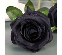 Genérico Rose éternelle noire synthétique réaliste. Cadeaux, anniversaires, anniversaires, décorations. Fleur noire des plus roses noires éternelles systétiques. Cadeau original. Fabriqué en Espagne.