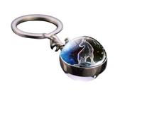 Generico Signe Zodiaque Capricorne Couleur Argent Double Face Lumineux Horoscope Magie Astri Constellation Gadget Accessoires Sac À Dos Idée Cadeau Homme Femme Enfant, argent, Taille Unique