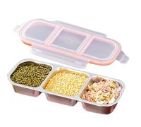 Generico Snack Pack Container - Boîte en acier inoxydable de 10,31 pouces | PP Silicone Lunch Storage - Two Three Compartments Reusable Eco-Friendly Kitchen Refrigeration Cooking Meal Prep