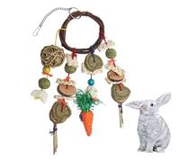 Generico Spectacles de lapin - Chinchilla, molaires lapins