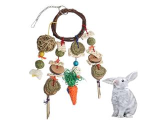 Generico Spectacles de lapin - Chinchilla, molaires lapins