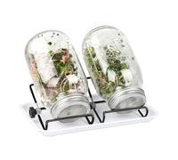 Genérico Sprouting Jar Kit, Health Vegetables Germination, Hydroponic Sprout Growing Kit, Jar Cultivation Kits, Jars Hydroponic Kits Sfor Gardeners Beginners Homesteaders Vegetarian Home Kitchen