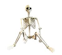 Generico Squelette d'Halloween - Squelette posable Abdominal avec joints mobiles - 90 cm Bones à tout le corps | Proppets photo décoratifs décoratifs résistants à la maison hantée