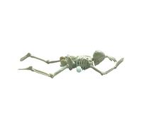 Genérico squelettes pour enfants - Figurine de crâne rejetée d'Halloween | Figurines décoratives crânes pour étagère maison, fête, collectionneur anniversaire unisexe