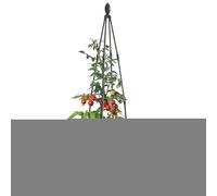 Generico Support pour grimpantes d'extérieur, Structure d'extérieur pour grimpantes, Structure Robuste antirouille pour la Croissance des concombres Roses, Fleurs Balcon et terrasse