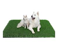 Generico Tapis Herbeux pour chiens - Tapis artificiel pour éducation au pot pour chiots | 2,44 x 15,16 pouces pour chiots - propriétaires d'animaux occupés à la maison jardin bureau canapé