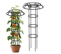 Generico Treillis pour rampantes, vertical, en forme de parapluie, pour toutes les saisons, treillis pour en pot, pour haricots, tomates, fleurs, clématites, jardin, balcon
