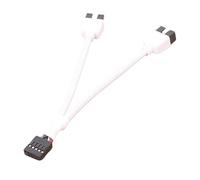 Genérico USB 2.0 Header Splitter - Cuivre 6,69 pouces, 9 broches USB Splitter, USB Extension Cable | Adaptateur pour carte mère USB pour bureaux, écoles, cafés Internet, Home Computer Setup, Data