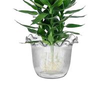 Generico Vase En Verre Transparent Pour Fleurs | Pot De Bouquet De Fleurs,Conteneur De Plantes Aquatiques pour Hôtel Salle De Réunion Mariage Événements Centre Table Décorations Maison Bureau