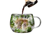 Genérico Verre à café en verre | Décoration de table avec fleurs séchées 300 ml, verrerie pour café - Pour la maison, le thé, les anniversaires et les fêtes