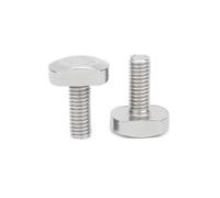 Générique 1/10Pc M5 M6 M8 M10 M12 304 A2 Acier Inoxydable T Type Vis À Tête De Marteau Boulon À Rainure for Rail De Goulotte À Rainure en T Rail À Onglets GB37(55mm,10pcs M6)