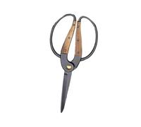 Générique 1/2PCS, Cisailles de Jardinage for Branches Fleurs, Outil Taille en Pot Acier Inoxydable(Branch Scissors)