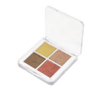 Générique 1 Boîte De Colorant Pour Les Ongles Aquarelle Peintures Perle Vernis À Ongles Nail Art Solide Aquarelle Peinture Paillettes Solide Aquarelles Gouache Tache Nail Art