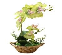 Générique 1 Pièce Orchidées Blanches Artificielles en Pot Simulation Violette en Pot Orchidée Papillon Composition Florale déCorative Décoration d'intérieur Orchidée Verte 27 cm (Vert)