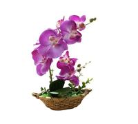 Générique 1 Pièce Orchidées Blanches Artificielles en Pot Simulation Violette en Pot Orchidée Papillon Composition Florale déCorative Décoration d'intérieur Orchidée Verte 27 cm (Violet)