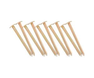 Générique 10 Piquets D'arpentage en Métal Galvanisé pour Marquage Précis des Points de Contrôle Design Portable et Efficacité Accrue pour Relevés et Observations
