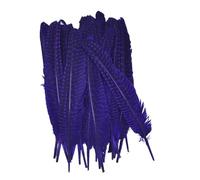 Générique 10 Plumes de pintade Naturelles colorées à Pois, Plumes de Faisan perlées for Loisirs créatifs, Chapeaux, Broderie, décoration, Carnaval(Purple)