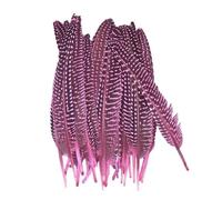 Générique 10 Plumes de pintade Naturelles colorées à Pois, Plumes de Faisan perlées for Loisirs créatifs, Chapeaux, Broderie, décoration, Carnaval(Pink)