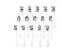 Générique 15pcs têtes de brosse, compatible avec Oclean, X X PRO Z1 F1 | Pour One, Air 2, SE, X10, A2T, X Optim; plastique, 5ARLA57(1 pcs)
