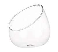 Générique 1pièce Bouteille Verre Borosilicate Épais Décor Micro Paysage pour Plantes Succulentes Vase Transparent pour Terrarium et Décoration Intérieure