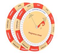 Générique 2 Pièces Document Croissance du Bébé en Papier Guide de Grossesse et Suivi Illustré du Développement Fœtal pour Futures Mamans