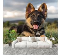 Générique 200x140 cm Seamless Join Easy Install Papier Peint Photo Animal Berger allemand Durable Waterproof Removable Mural 200x140 Cm Vert Papier Peint Anti-Stain Fresque Murale Grande