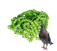 Générique 2025 Pigeon Leg Rings | 50pcs Safe Birdhouse Accessories - Bright Colors Size Pegeon Easy to Distinguish
