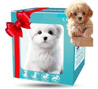 Générique 2026 New Nicoo My Realistic Robot Puppy, Robot Dog That Acts Like A Real Dog, AI Dogs for Adults Realistic for Adults, Walking, Barking, Tail Wagging, Gift for Pet Lover (#2)