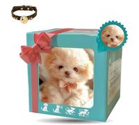 Générique 2026 New Nicoo My Realistic Robot Puppy, That Acts Like A Real Dogs,My Realistic Robot Puppy for Adults, Walking, Barking, Tail Wagging, Gift for Pet Lovers (Style A)