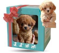 Générique 2026 Upgrade Robot Puppy AI Robot Dog - My Realistic Robots Puppy, That Acts Like A Real Puppys,Walking, Barking, Tail Wagging for Pet Lovers (#D)