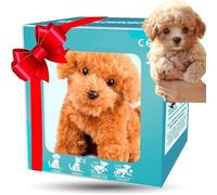 Générique 2026 Upgrade Robot Puppy AI Robot Dog - My Realistic Robots Puppy, That Acts Like A Real Puppys,Walking, Barking, Tail Wagging for Pet Lovers (#B)