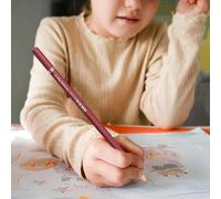 Générique 24 Crayons de Couleur - Crayons de Coloriage | Outils de Journalisme Résistants à la Casse et Fusibles pour Jeunes Adultes Artisanat Scolaire Dessin