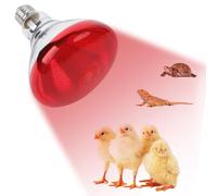 Générique 250W Red Heating Bulb For Chickens - Infrared Floodlight Heat Lamp, Incandescent Brooder Bulb For Chicks Reptiles Pets, 120V E26 Base