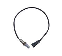 Générique 27719-07 Sonde Lambda Capteur d'oxygène O2 pour Harley pour Davidson 2007-2012 D'oxygène