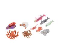 Générique 2Ensembles Éducatif de Modèles de Cycle de Vie de Poissons Saumon et Poulpe Apprentissage pour Décorations de Vitrine