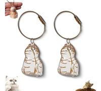 Générique 2PCS Cat Hair Storage Bottle, Bottle for Pet Hairs Keychain, Transparent Cat Hair Storage Box Pendants, Cats Whisker Storage Box Capsule, Pets Hairs Keepsake (E)