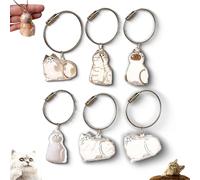 Générique 2PCS Cat Hair Storage Bottle, Bottle for Pet Hairs Keychain, Transparent Cat Hair Storage Box Pendants, Cats Whisker Storage Box Capsule, Pets Hairs Keepsake (Mix)