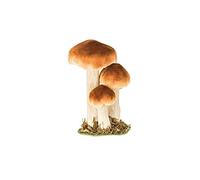 Générique 3 Champignons Brun Blanc sur Socle 18 CM
