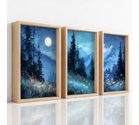 Générique 3 Pièces Naturel Peinture À L'Huile Tableau Decoration Murale, Impression sur Toile Ciel Nocturne Montagne Prairie pour Maison Déco, Toile Peinture Affiche Chambre Bureau 42 x 59.4 cm