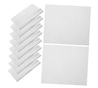 Générique 30 Feuilles D' À Ongles Filtres À Mailles Nettoyeur De Miroir Grattoir À Tapis Brosse À Poussière Collecteur De Poussière Brosse Métallique Nettoyeur De Coulis