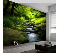 Générique 300 x 210 cm Papier peint panoramique - Affiche murale Paysage Naturel Forêt Pierres Ruisseau, papier peint intissé Vert personnalisé 3D, décoration murale pour salon et chambre d'enfant