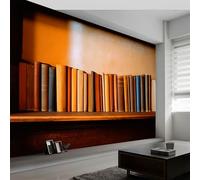 Générique 300 x 210 cm Papier Peint Panoramique Pour Garçons filles, Bibliothèque Rétro Poster Géant Mural 3D, Décoration Murale Premium Pour Salon, Chambre Adulte, Chambre D'Enfants Kaki