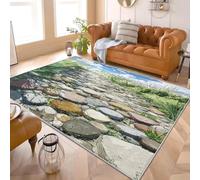 Générique 3D Bandes DessinéEs DéCors Antidérapants Tapis Chambre Moderne 80x150 cm Bleu Clair Lavable en Machine Tapis Salon Doux à Poil Court Décoration Maison - Nettoyage Facile